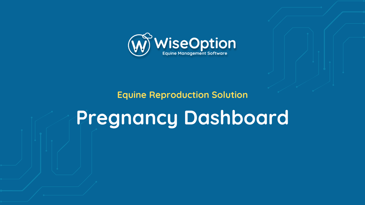 Pregnancy Dashboard