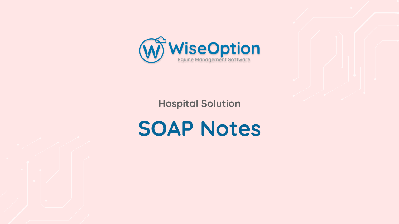 SOAP Notes
