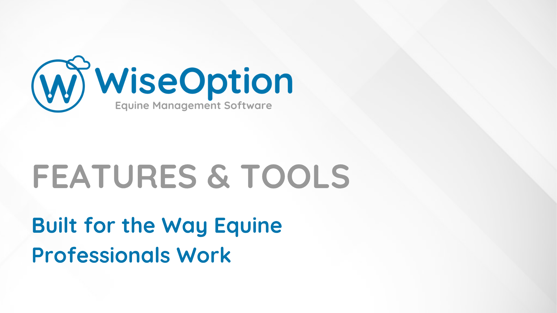 Wise Option Features & Tools