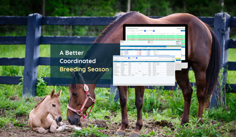 When Equine Reproduction Needs One Connected Workflow