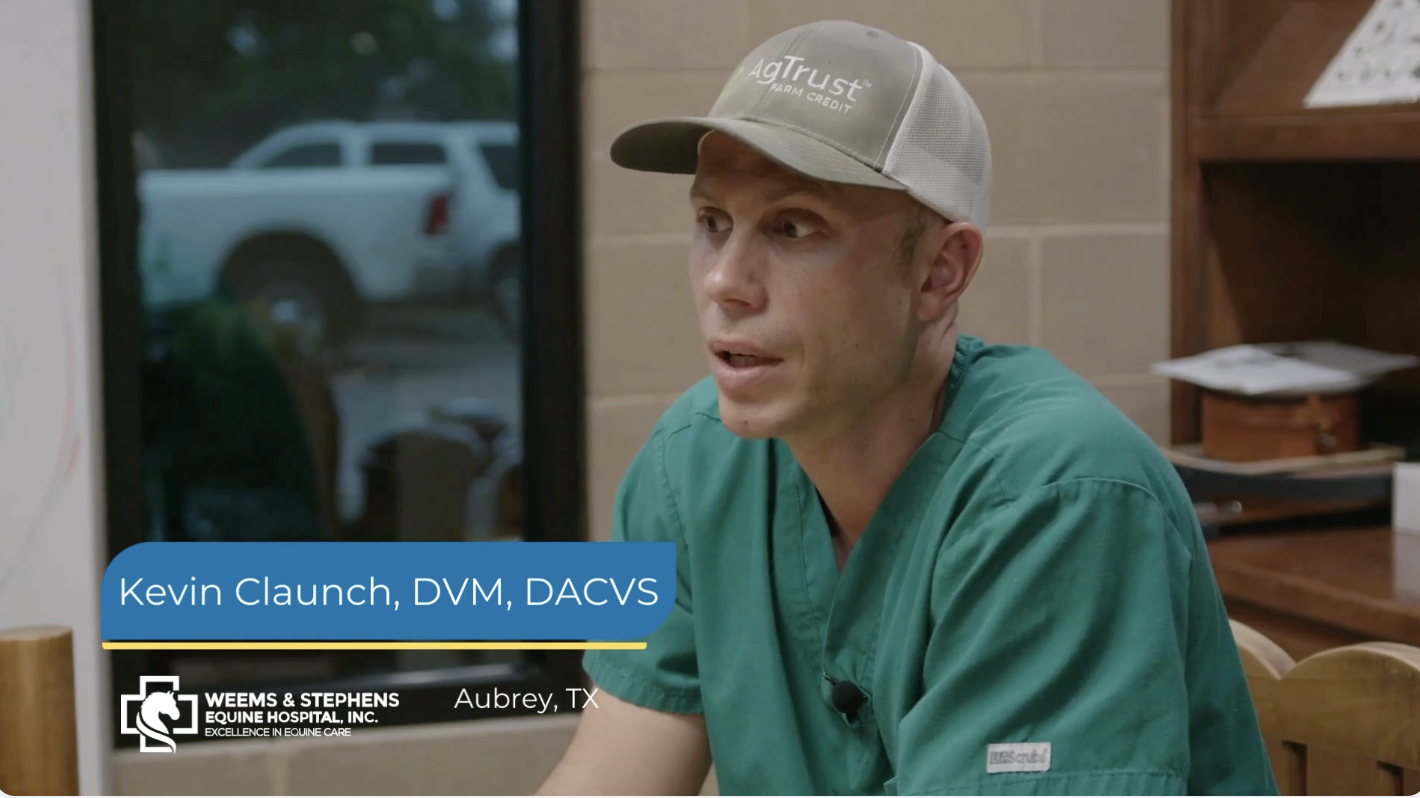 Streamlining Equine Veterinary Workflow with Wise option
