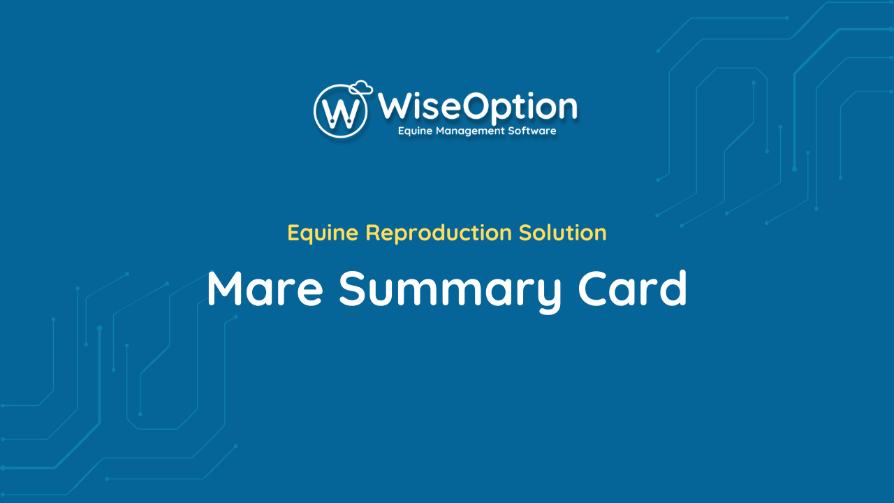 Mare Summary Card