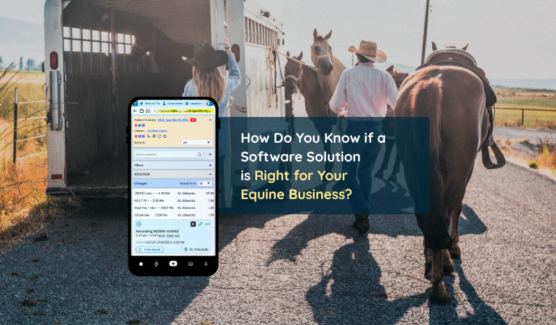 How Do You Know an Innovative Equine Management System is Right for You?