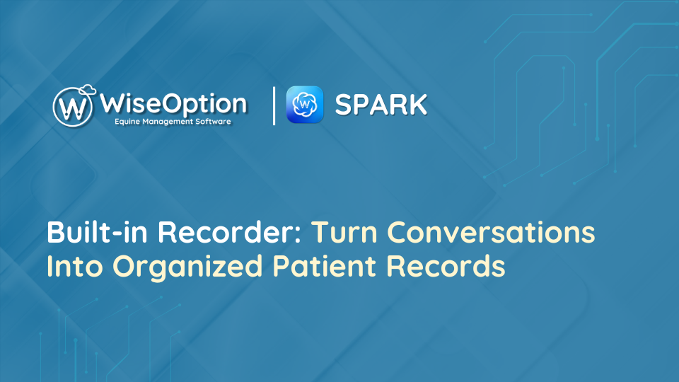 Wise Option Spark Recorder: Turn Conversations Into Organized Patient Records