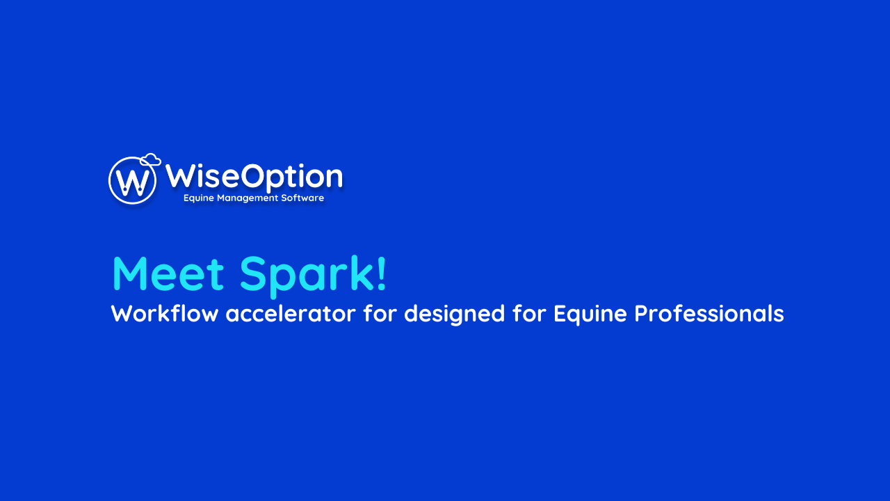 Wise Option Spark