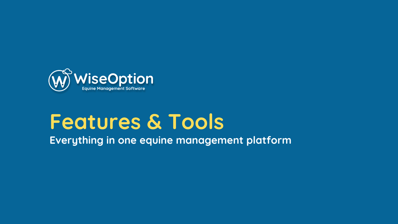 Wise Option Features & Tools
