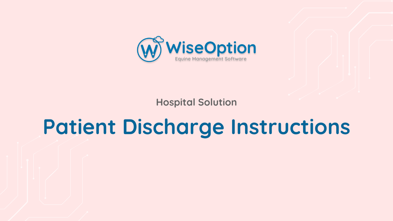 Patient Discharge Instructions