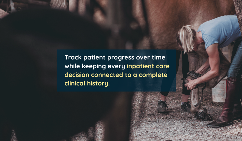 A Connected SOAP and Vitals Workflow for Equine Hospitals