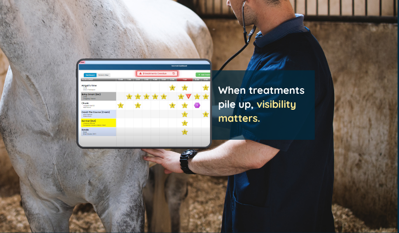 When Hospital Work Needs More Than a Big-Picture View