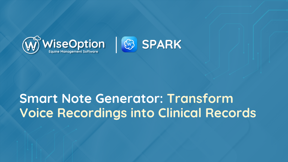 Wise Option Smart Note Generator: Transform Voice Recordings into Clinical Records