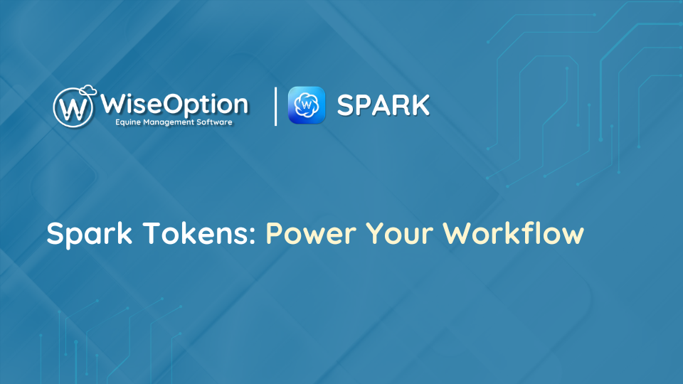 Wise Option Spark Tokens: Power Your Workflow