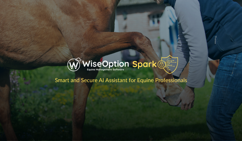 Wise Option Spark