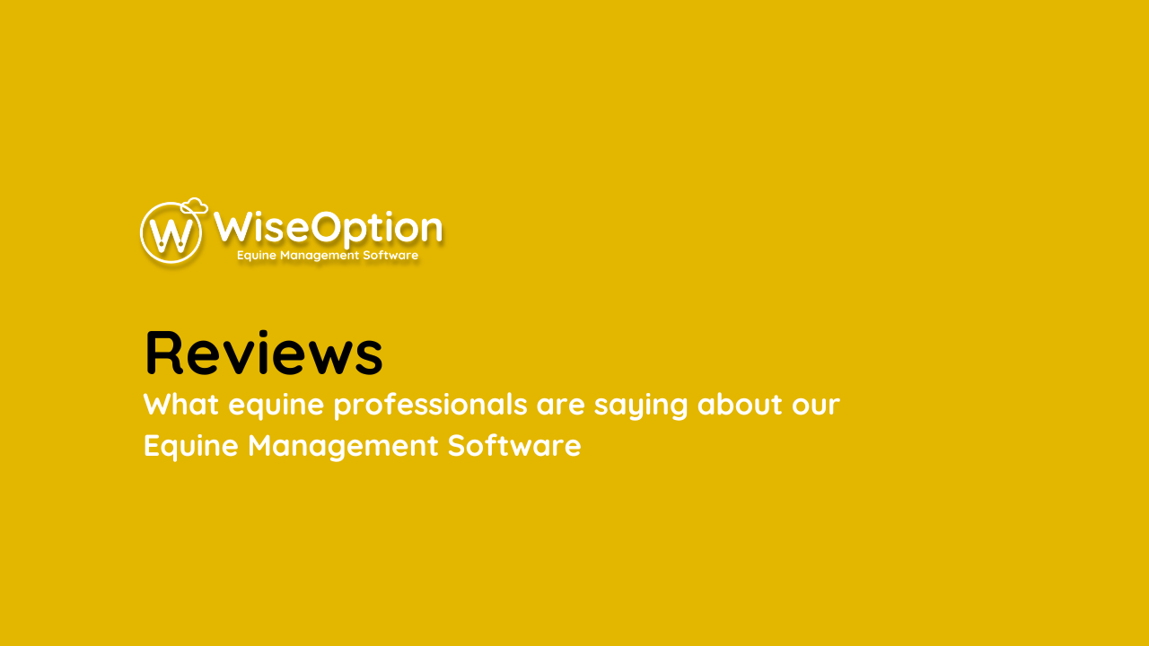 Wise Option Reviews