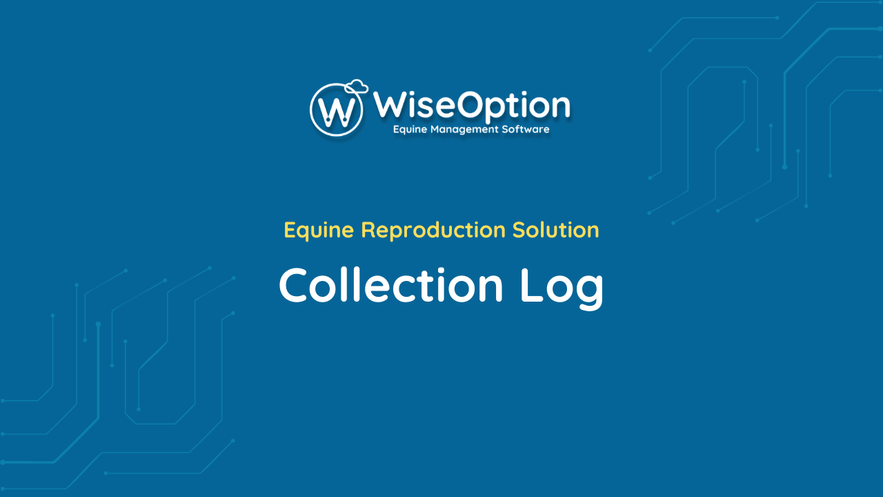 Collection Log